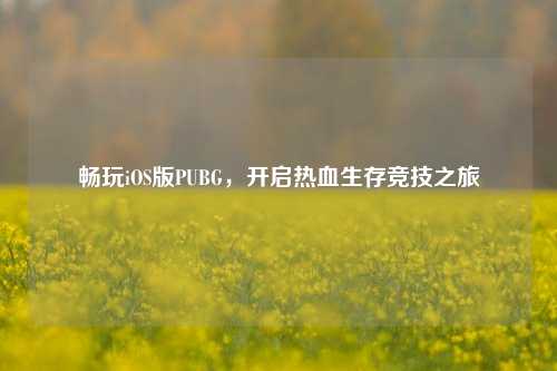 畅玩iOS版PUBG，开启热血生存竞技之旅