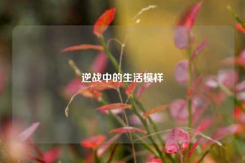 逆战中的生活模样