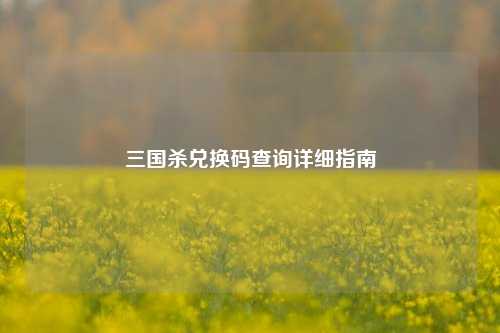 三国杀兑换码查询详细指南