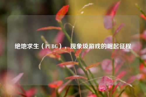 绝地求生（PUBG），现象级游戏的崛起征程
