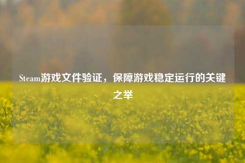 Steam游戏文件验证，保障游戏稳定运行的关键之举