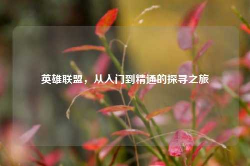 英雄联盟，从入门到精通的探寻之旅