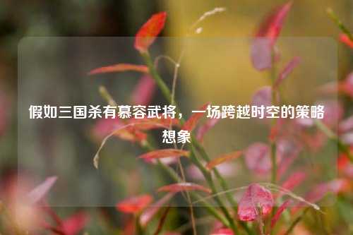 假如三国杀有慕容武将，一场跨越时空的策略想象