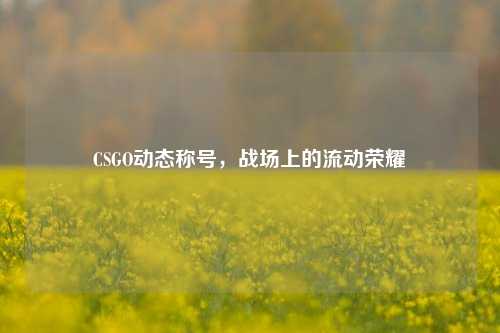 CSGO动态称号，战场上的流动荣耀