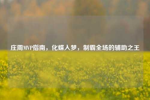 庄周MVP指南，化蝶入梦，制霸全场的辅助之王