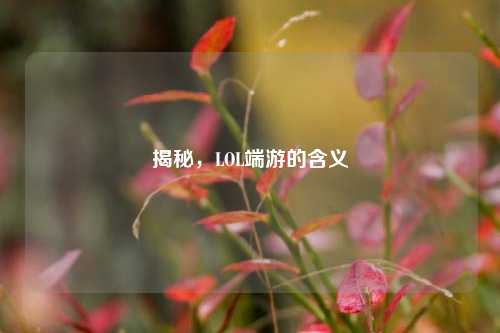 揭秘,LOL端游的含义