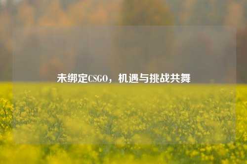 未绑定CSGO，机遇与挑战共舞