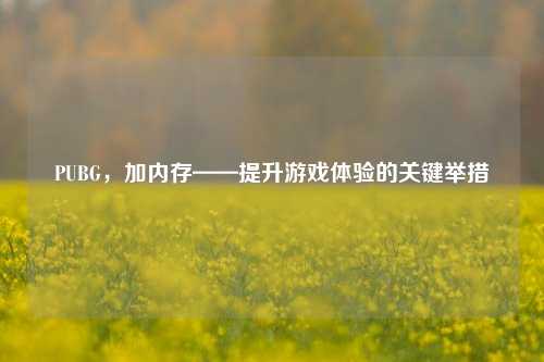 PUBG，加内存——提升游戏体验的关键举措