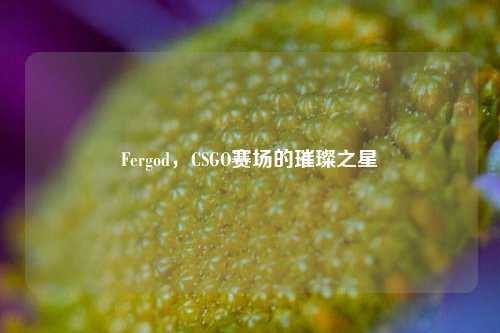 Fergod，CSGO赛场的璀璨之星