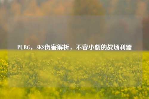 PUBG，SKS伤害解析，不容小觑的战场利器