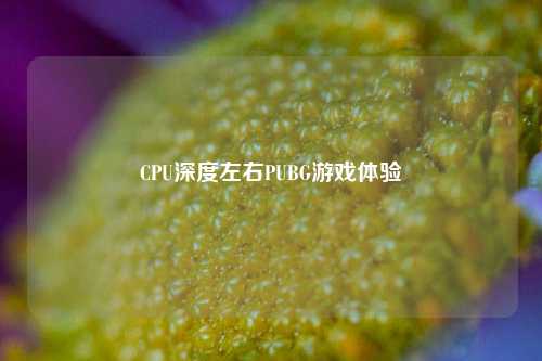 CPU深度左右PUBG游戏体验