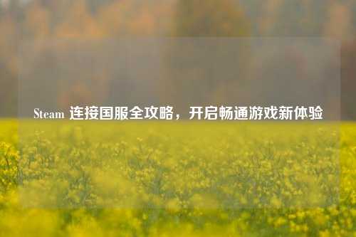 Steam 连接国服全攻略，开启畅通游戏新体验
