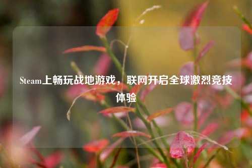 Steam上畅玩战地游戏，联网开启全球激烈竞技体验