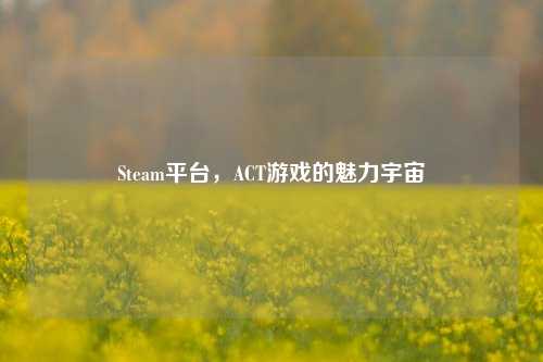 Steam平台,ACT游戏的魅力宇宙