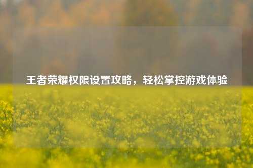 王者荣耀权限设置攻略，轻松掌控游戏体验
