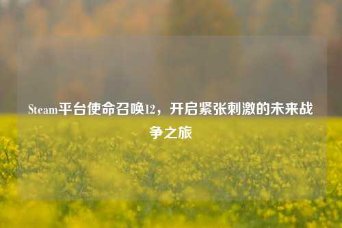Steam平台使命召唤12,开启紧张***的未来战争之旅