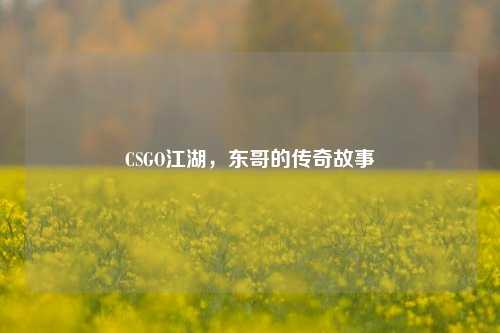 CSGO江湖，东哥的传奇故事