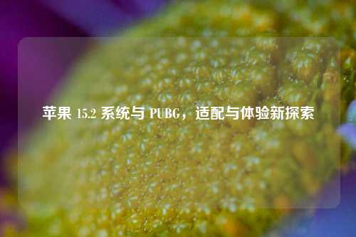苹果 15.2 系统与 PUBG，适配与体验新探索