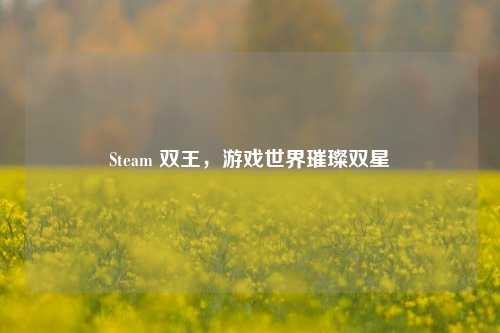 Steam 双王，游戏世界璀璨双星