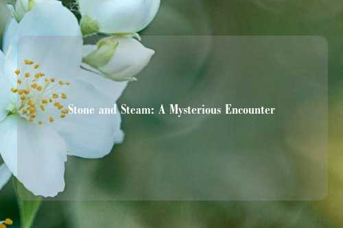 Stone and Steam: A Mysterious Encounter