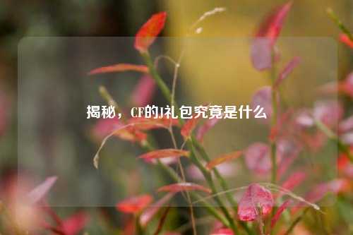 揭秘，CF的J礼包究竟是什么