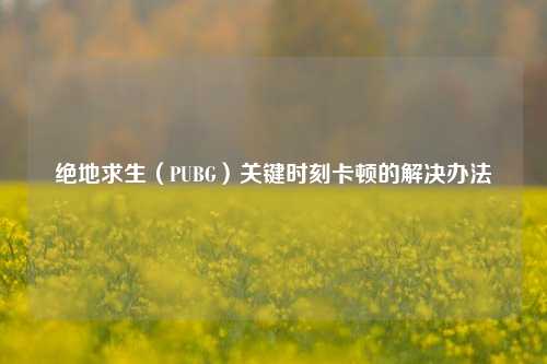 绝地求生（PUBG）关键时刻卡顿的解决办法