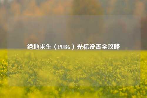 绝地求生（PUBG）光标设置全攻略