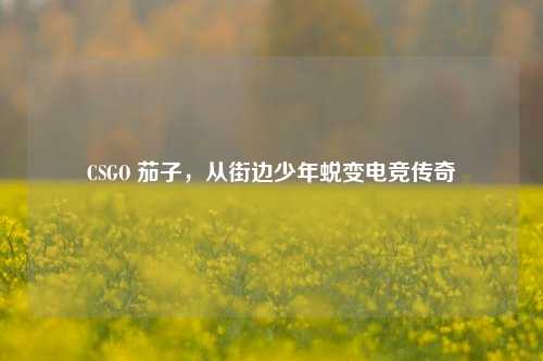 CSGO 茄子，从街边少年蜕变电竞传奇