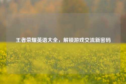 王者荣耀英语大全,解锁游戏交流新密码