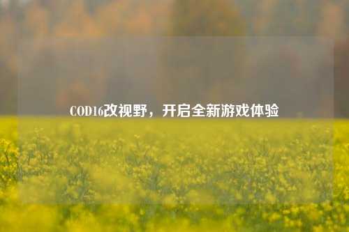 COD16改视野，开启全新游戏体验