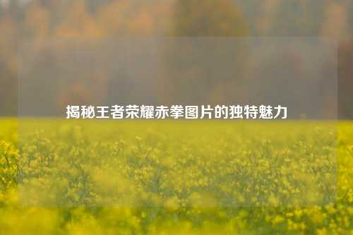 揭秘王者荣耀赤拳图片的独特魅力