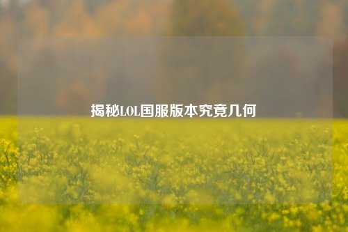 揭秘LOL国服版本究竟几何