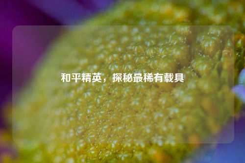 和平精英，探秘最稀有载具