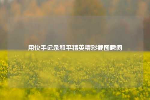 用快手记录和平精英精彩截图瞬间