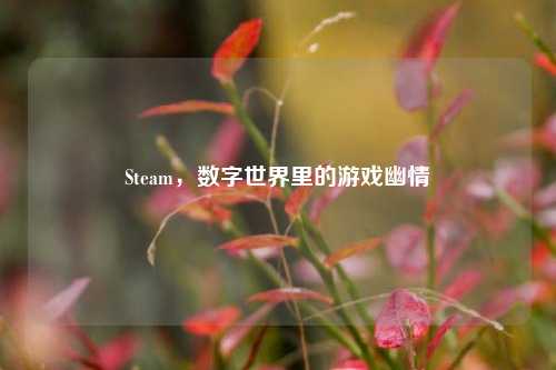 Steam，数字世界里的游戏幽情