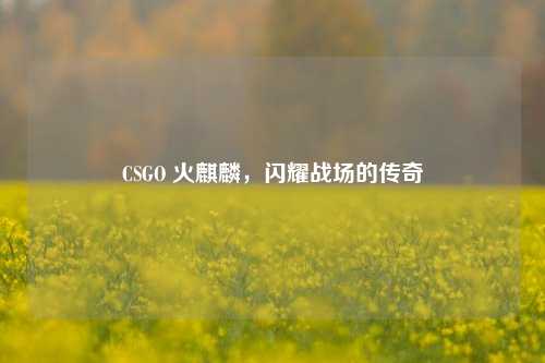 CSGO 火麒麟,闪耀战场的传奇