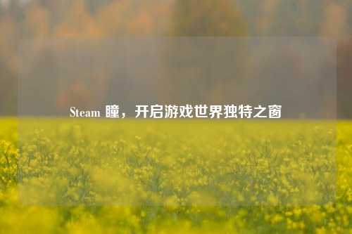 Steam 瞳，开启游戏世界独特之窗