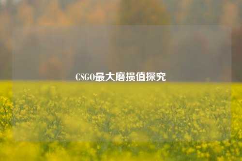 CSGO更大磨损值探究