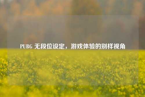 PUBG 无段位设定，游戏体验的别样视角
