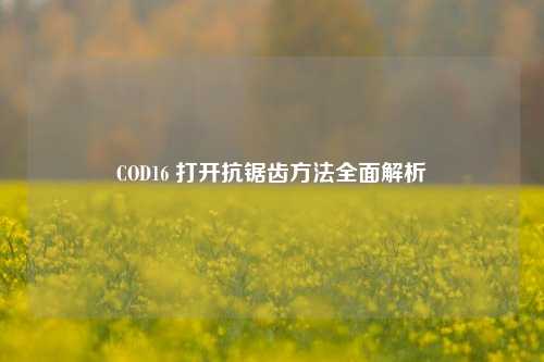 COD16 打开抗锯齿 *** 全面解析