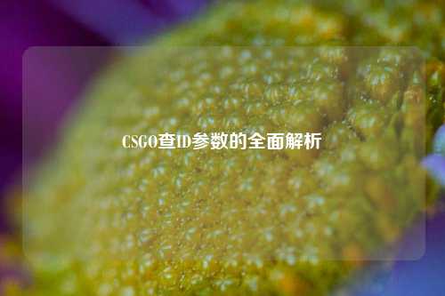 CSGO查ID参数的全面解析