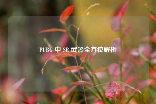 PUBG 中 SR 武器全方位解析