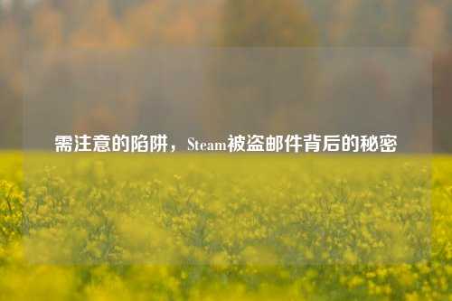 需注意的陷阱,Steam被盗邮件背后的秘密