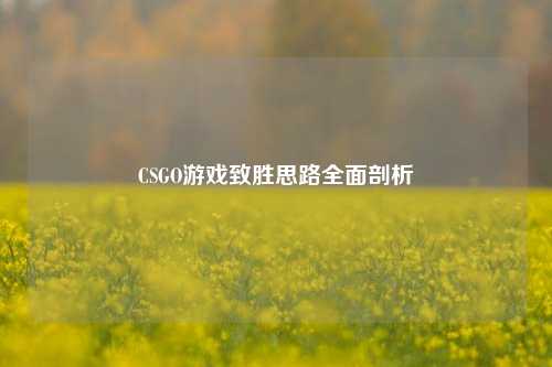 CSGO游戏致胜思路全面剖析