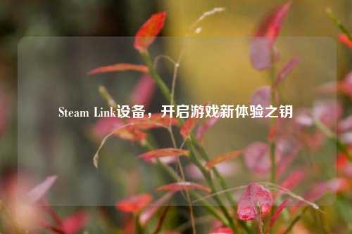 Steam Link设备，开启游戏新体验之钥