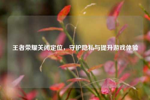 王者荣耀关闭定位，守护隐私与提升游戏体验