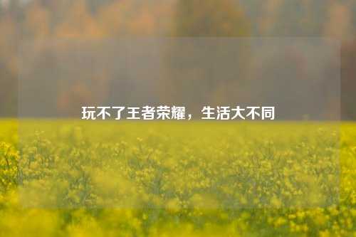 玩不了王者荣耀，生活大不同