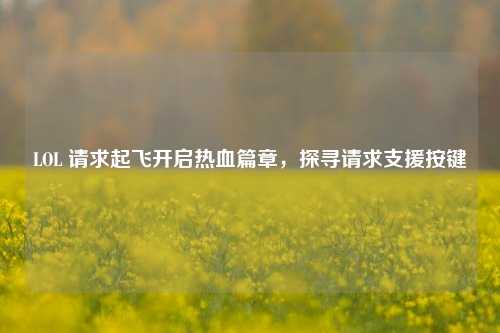 LOL 请求起飞开启热血篇章,探寻请求支援按键