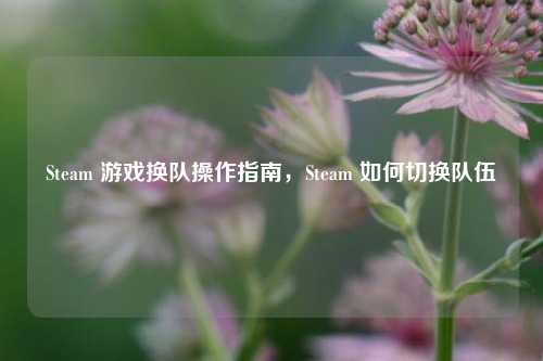 Steam 游戏换队操作指南,Steam 如何切换队伍