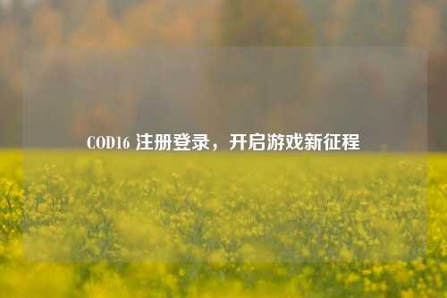 COD16 注册登录,开启游戏新征程